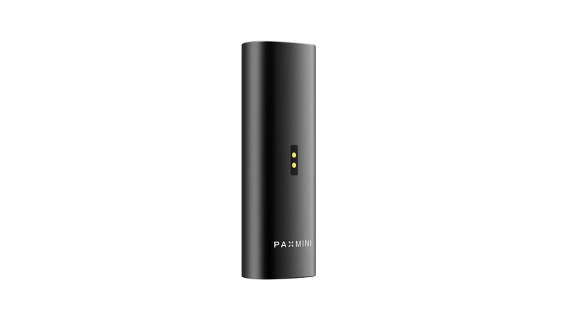 PAX Mini 2 schräg von vorn