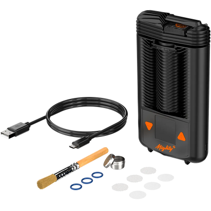 Storz und Bickel Mighty+ schwarz Lieferumfang